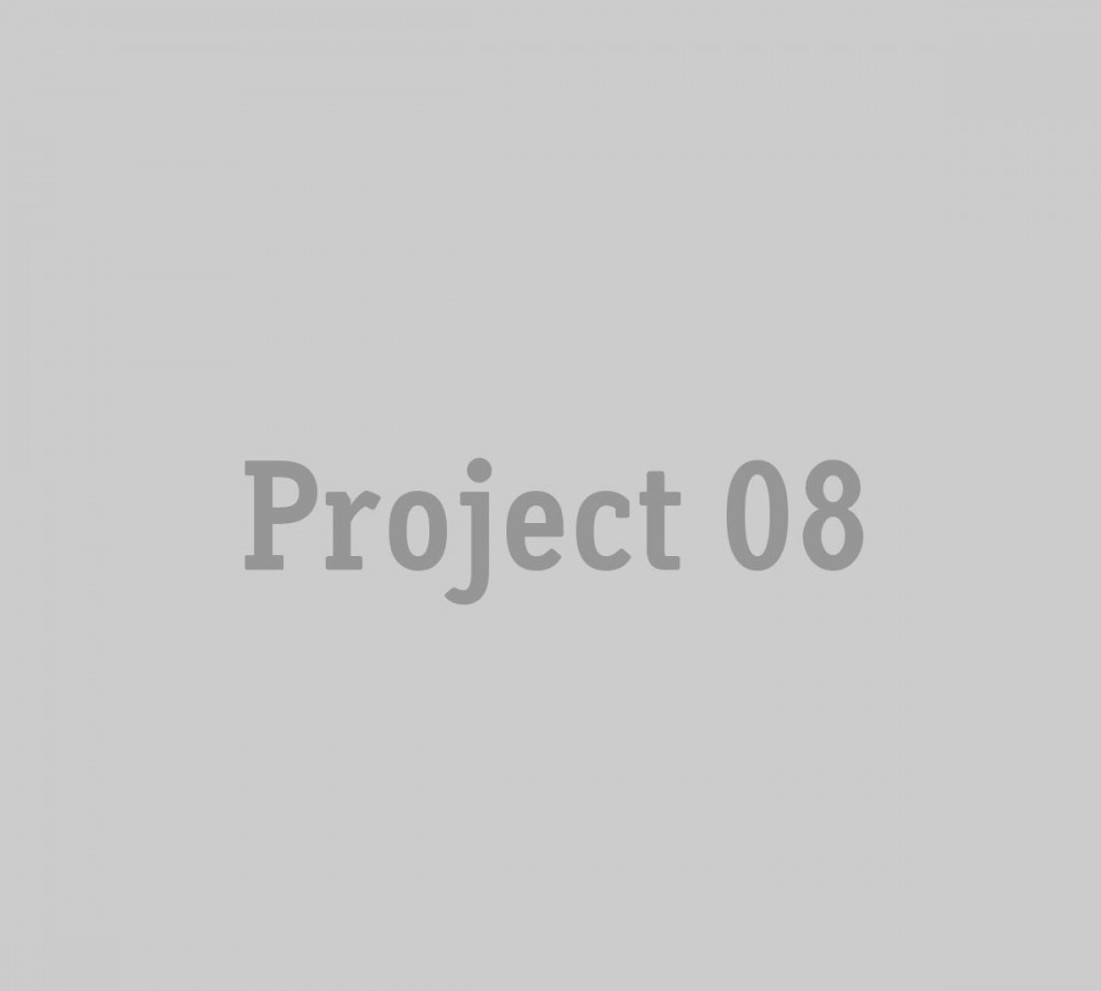 project_08