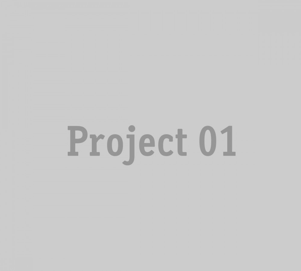 project_01